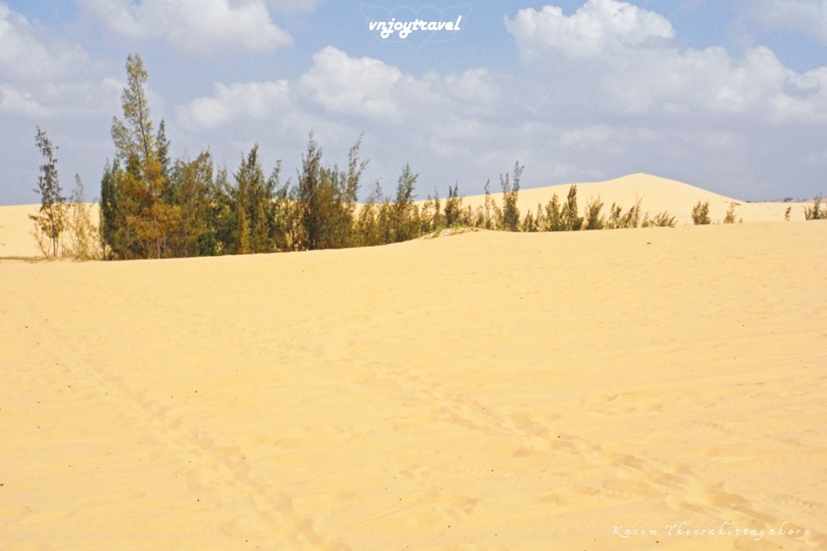 เที่ยวเวียดนาม vnjoytravel vietham บิ่นห์ถ่วน หมูยแน้ มุยเน่ Binh Thuan Mui Ne Muine ทะเลทรายขาว เนินทรายขาว white sand dunes desert