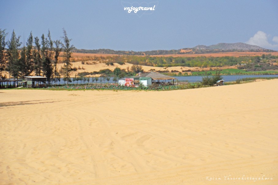 เที่ยวเวียดนาม vnjoytravel vietham บิ่นห์ถ่วน หมูยแน้ มุยเน่ Binh Thuan Mui Ne Muine ทะเลทรายขาว เนินทรายขาว white sand dunes desert
