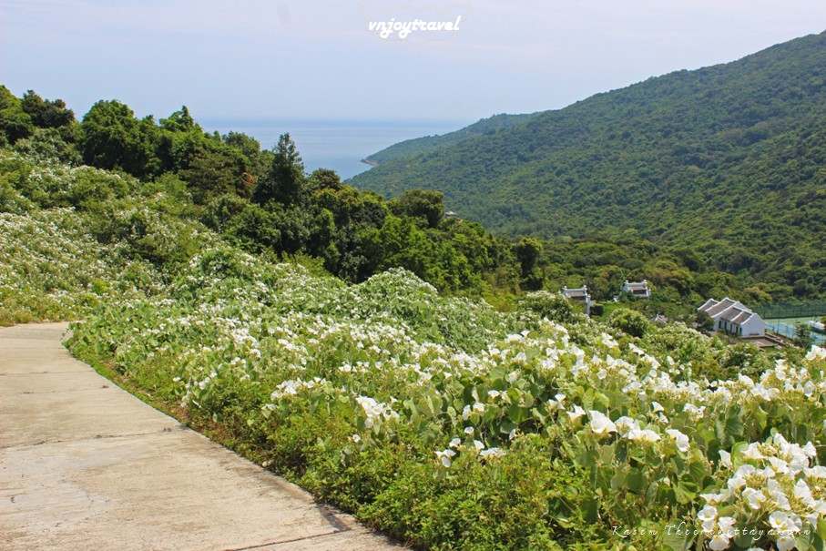 เที่ยวเวียดนาม vnjoytravel vietnam ดานัง  Danang Da Nang คาบสมุทรเซินจ่า Ban Dao Son Tra peninsula