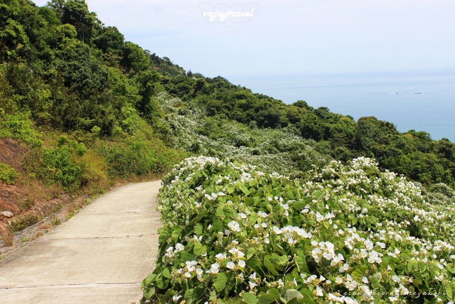 เที่ยวเวียดนาม vnjoytravel vietnam ดานัง  Danang Da Nang คาบสมุทรเซินจ่า Ban Dao Son Tra peninsula