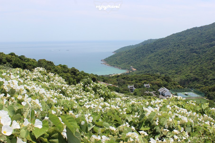 เที่ยวเวียดนาม vnjoytravel vietnam ดานัง  Danang Da Nang คาบสมุทรเซินจ่า Ban Dao Son Tra peninsula