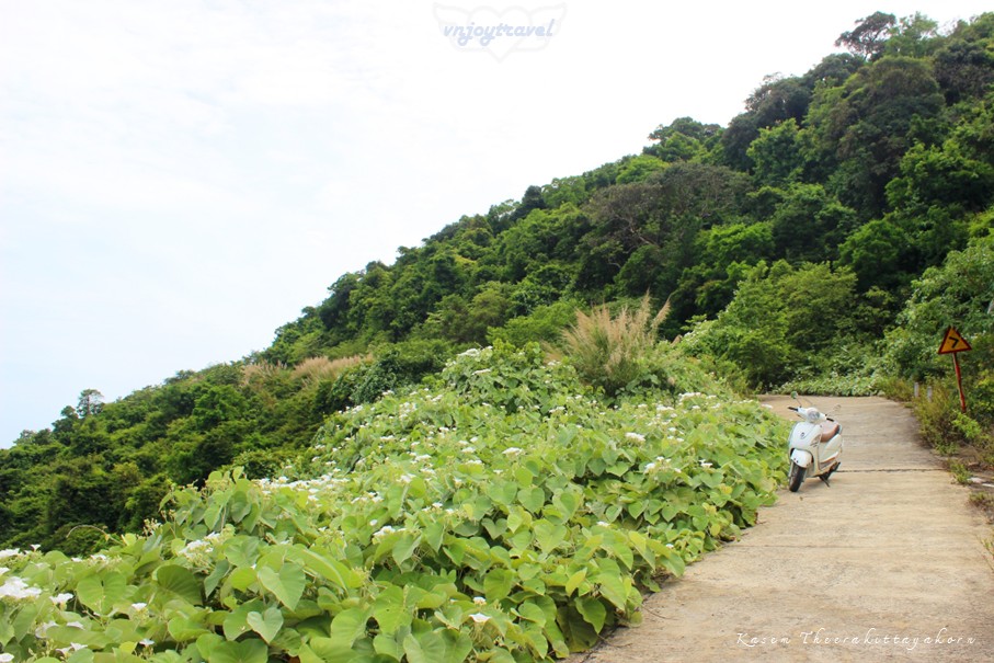เที่ยวเวียดนาม vnjoytravel vietnam ดานัง  Danang Da Nang คาบสมุทรเซินจ่า Ban Dao Son Tra peninsula