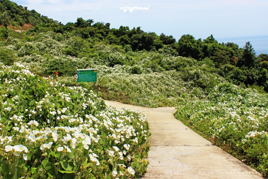 เที่ยวเวียดนาม vnjoytravel vietnam ดานัง  Danang Da Nang คาบสมุทรเซินจ่า Ban Dao Son Tra peninsula
