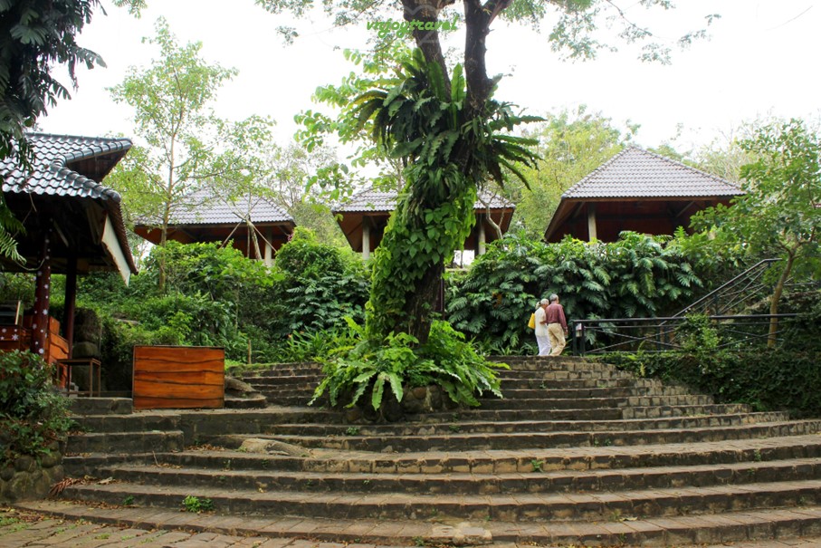เที่ยวเวียดนาม vnjoytravel vietham ด่งนาย Dongnai Dong Nai น้ำตกยางเดี่ยน Thac Giang Dien Waterfall