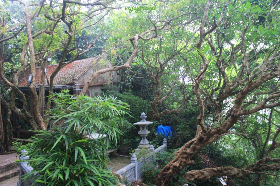 เที่ยวเวียดนาม vnjoytravel vietnam ฮานอย Hanoi วัดเถ่ย  Chua Thay Pagoda