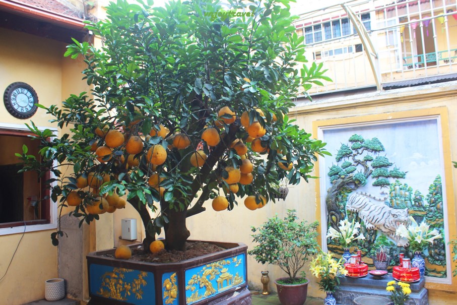 เที่ยวเวียดนาม vnjoytravel vietnam ฮานอย Hanoi ศาลเจ้าม้าขาว Den Bach Ma white horse shrine