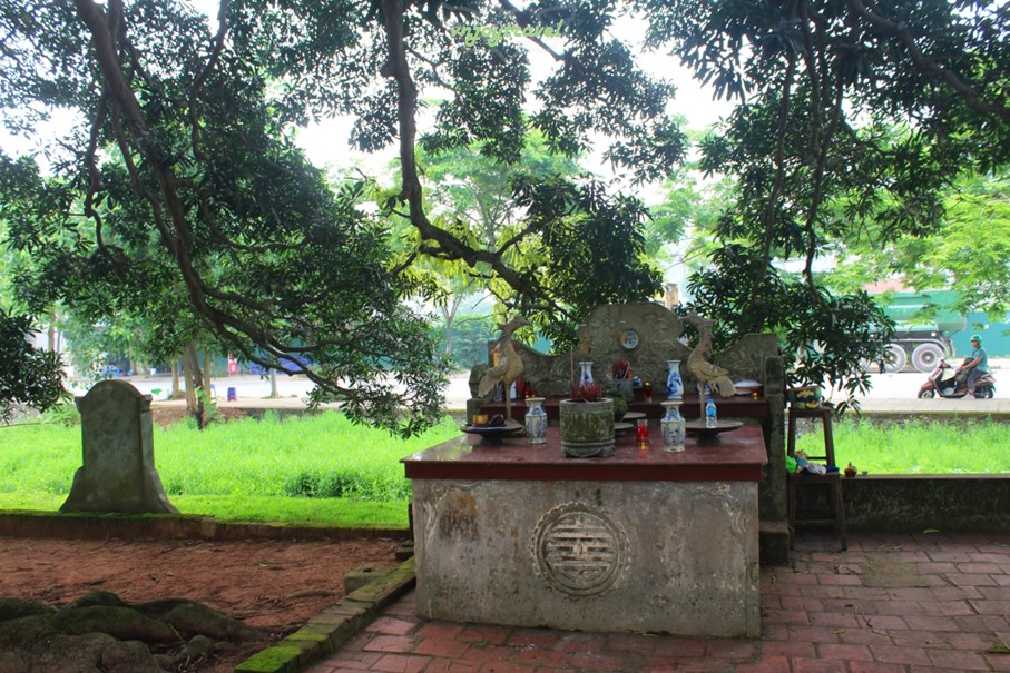 เที่ยวเวียดนาม vnjoytravel vietnam ฮานอย Hanoi อุโมงค์ต้นไม้ Tree Tunnel Hang Cay Xa Cu