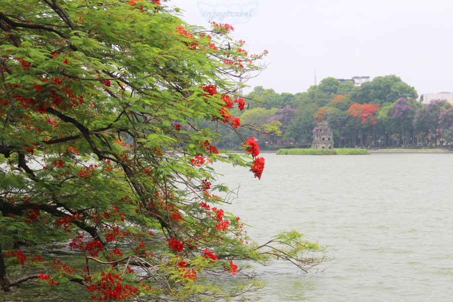 เที่ยวเวียดนาม vnjoytravel vietnam ฮานอย Hanoi ทะเลสาบฮว่านเกี๋ยม คืนดาบ  Hoan Kiem Lake