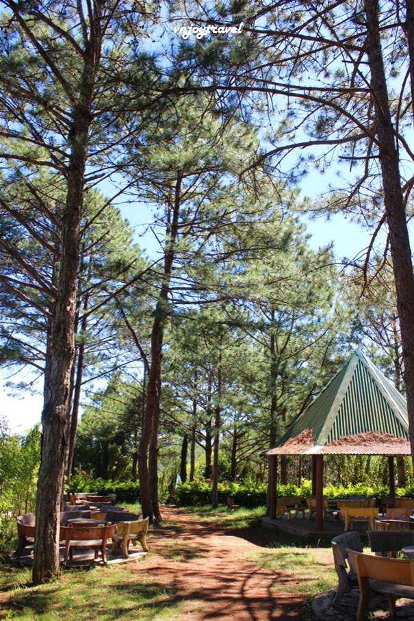 เที่ยวเวียดนาม vnjoytravel vietham ดาลัต ด่าหลัต Dalat Da Lat วัดจุ๊กเลิม Truc Lam Monastery