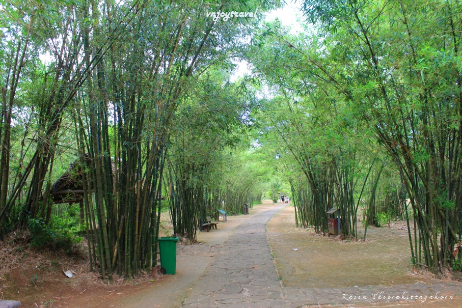 เที่ยวเวียดนาม vnjoytravel vietnam กว๋างจิ Quang Tri อุโมงค์วินห์มก dia dao vinh moc tunnels
