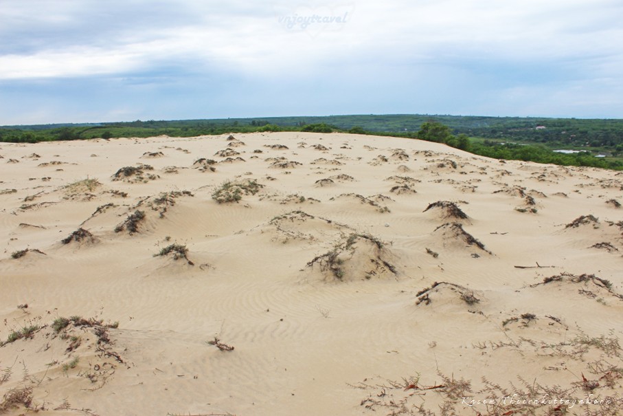 เที่ยวเวียดนาม vnjoytravel vietnam กว๋างจิ  Quang Tri ทะเลทราย เนินทรายหวินห์จุง doit cat vinh trung sand dune desert