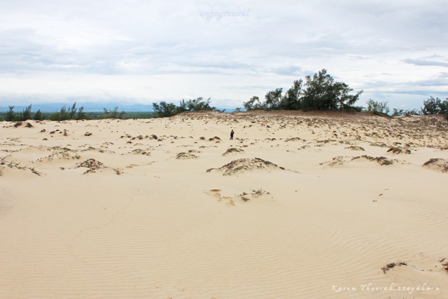 เที่ยวเวียดนาม vnjoytravel vietnam กว๋างจิ  Quang Tri ทะเลทราย เนินทรายหวินห์จุง doit cat vinh trung sand dune desert