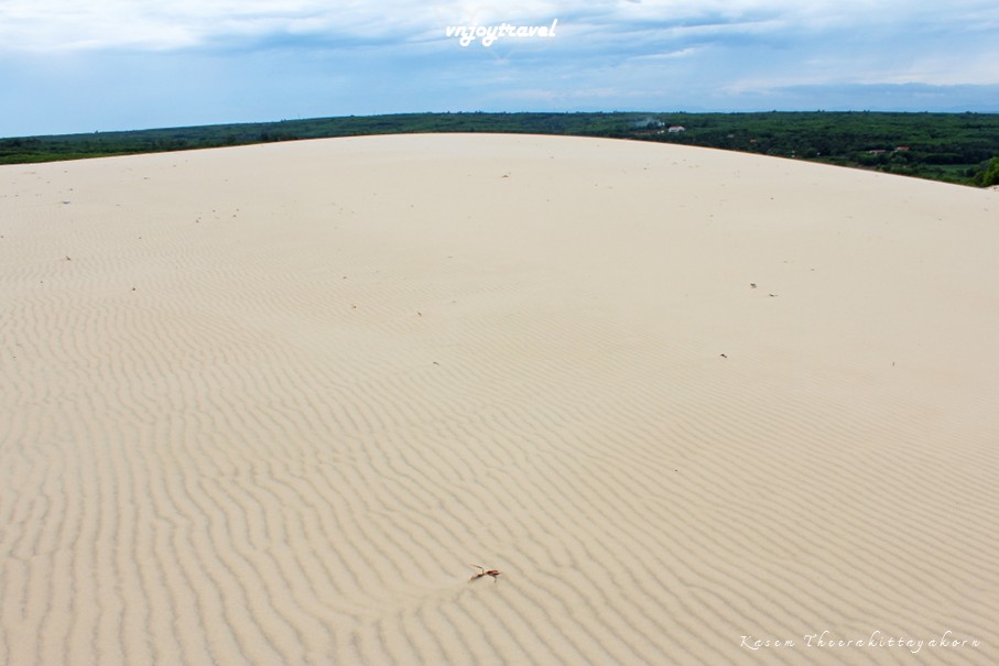 เที่ยวเวียดนาม vnjoytravel vietnam กว๋างจิ  Quang Tri ทะเลทราย เนินทรายหวินห์จุง doit cat vinh trung sand dune desert