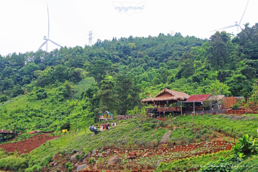 เที่ยวเวียดนาม vnjoytravel vietnam กว๋างจิ Quang Tri แคซานห์ เคซาน khe sanh โรสฟาร์ม คาเฟ่ rose farm cafe