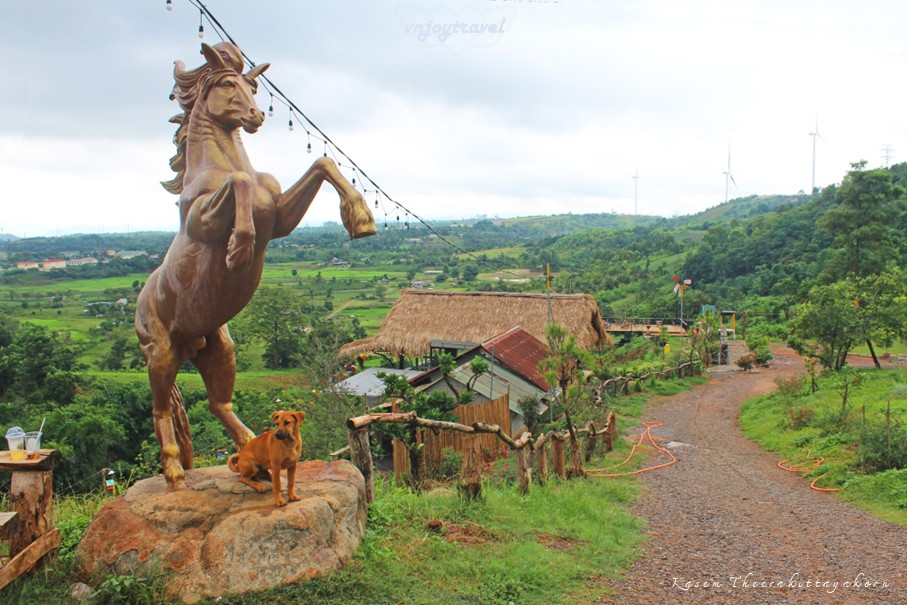 เที่ยวเวียดนาม vnjoytravel vietnam กว๋างจิ Quang Tri แคซานห์ เคซาน khe sanh โรสฟาร์ม คาเฟ่ rose farm cafe