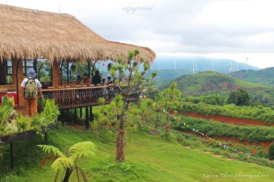 เที่ยวเวียดนาม vnjoytravel vietnam กว๋างจิ Quang Tri แคซานห์ เคซาน khe sanh โรสฟาร์ม คาเฟ่ rose farm cafe