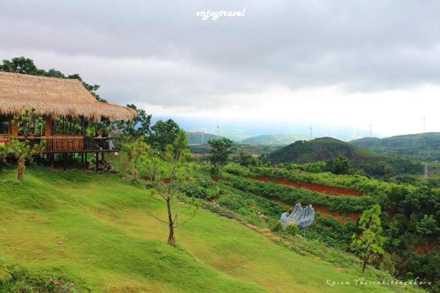 เที่ยวเวียดนาม vnjoytravel vietnam กว๋างจิ Quang Tri แคซานห์ เคซาน khe sanh โรสฟาร์ม คาเฟ่ rose farm cafe