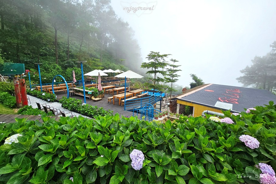 เที่ยวเวียดนาม vnjoytravel vietnam หวินห์ฟุก vinh phuc ตามด๋าว tam dao da lat quan คาเฟ่ cafe