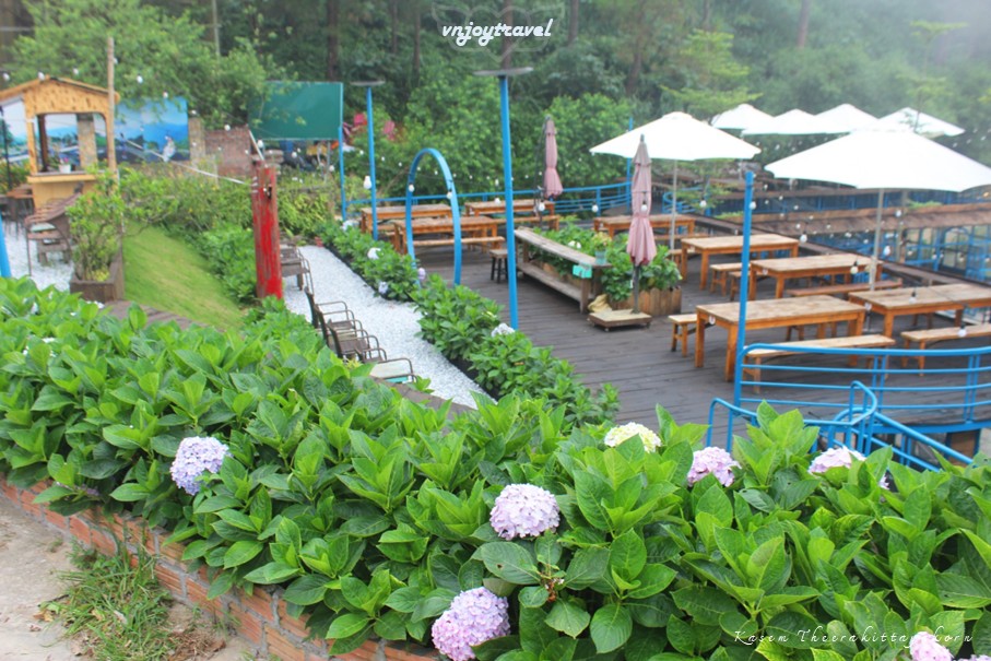 เที่ยวเวียดนาม vnjoytravel vietnam หวินห์ฟุก vinh phuc ตามด๋าว tam dao da lat quan คาเฟ่ cafe
