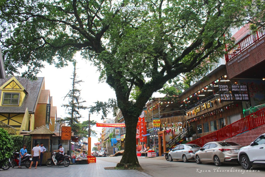 เที่ยวเวียดนาม vnjoytravel vietnam หวินห์ฟุก vinh phuc ตามด๋าว tam dao tamdao