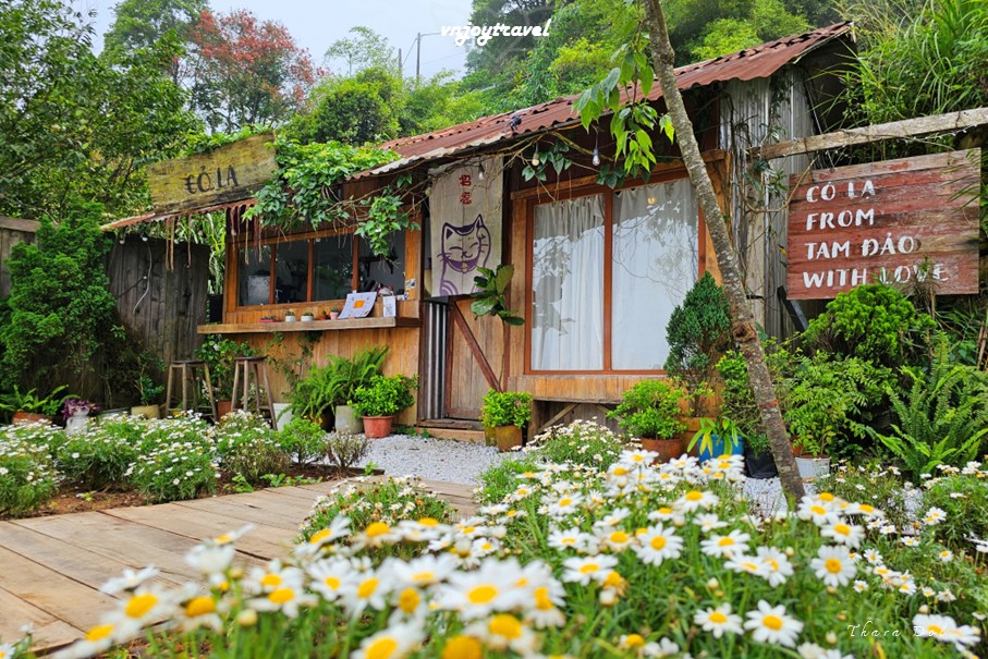 เที่ยวเวียดนาม vnjoytravel vietnam หวินห์ฟุก vinh phuc ตามด๋าว tam dao คาเฟ่ tiem cafe co la