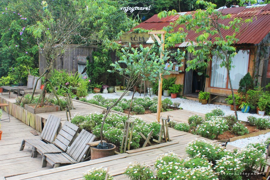 เที่ยวเวียดนาม vnjoytravel vietnam หวินห์ฟุก vinh phuc ตามด๋าว tam dao คาเฟ่ tiem cafe co la