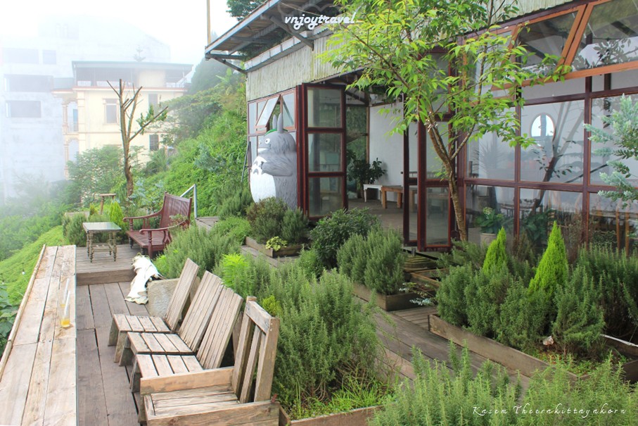 เที่ยวเวียดนาม vnjoytravel vietnam หวินห์ฟุก vinh phuc ตามด๋าว tam dao คาเฟ่ tiem cafe co la
