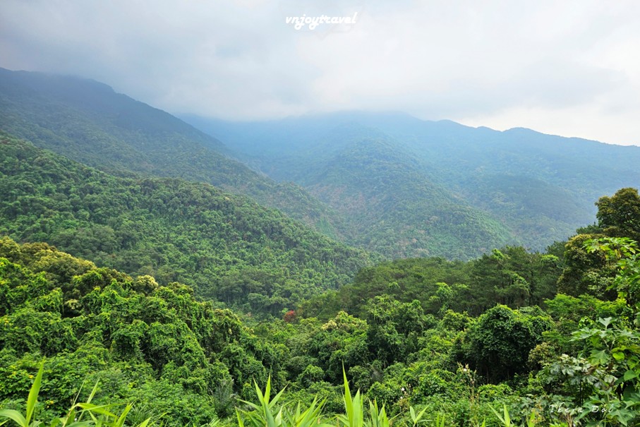 เที่ยวเวียดนาม vnjoytravel vietnam หวินห์ฟุก vinh phuc ตามด๋าว tam dao อุทยานแห่งชาติตามด๋าว vuon quoc gia tamdao national park