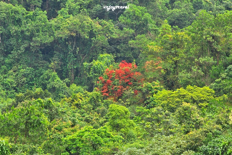 เที่ยวเวียดนาม vnjoytravel vietnam หวินห์ฟุก vinh phuc ตามด๋าว tam dao อุทยานแห่งชาติตามด๋าว vuon quoc gia tamdao national park