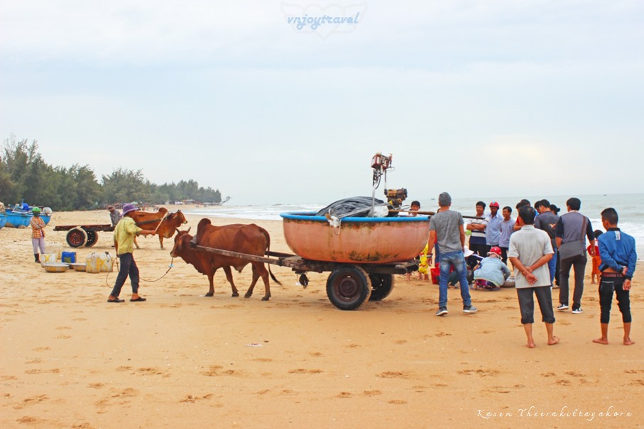เที่ยวเวียดนาม vnjoytravel vietham บิ่นห์ถ่วน หมูยแน้ มุยเน่ Binh Thuan Mui Ne Muine หาดกามบิ่นห์  bai tam cam binh