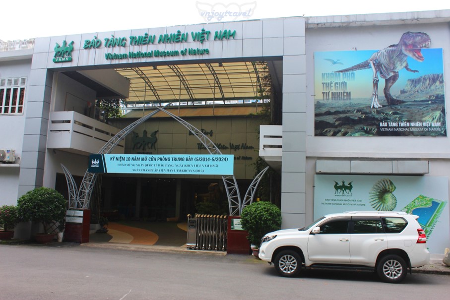 เที่ยวเวียดนาม vnjoytravel vietnam ฮานอย Hanoi พิพิธภัณฑ์ธรรมชาติวิทยา National Museum of Nature