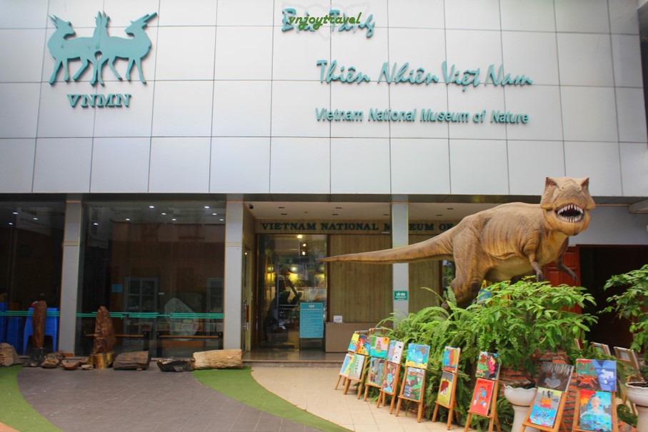 เที่ยวเวียดนาม vnjoytravel vietnam ฮานอย Hanoi พิพิธภัณฑ์ธรรมชาติวิทยา National Museum of Nature