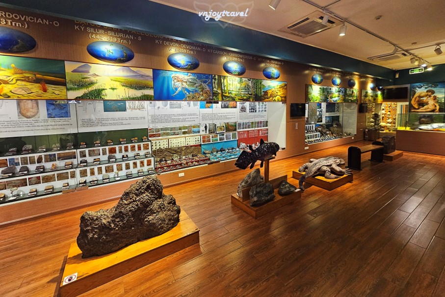 เที่ยวเวียดนาม vnjoytravel vietnam ฮานอย Hanoi พิพิธภัณฑ์ธรรมชาติวิทยา National Museum of Nature