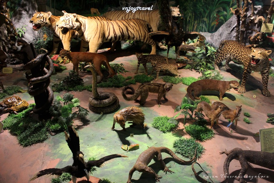 เที่ยวเวียดนาม vnjoytravel vietnam กอนตูม kon tum kontum พิพิธภัณฑ์กอนตูม bao tang kon tum museum